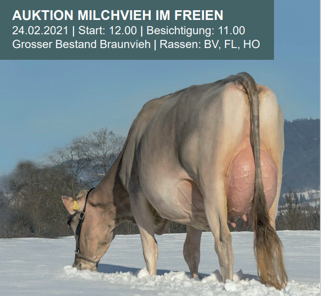 Auktion Chommle Gunzwil vom 24.02.2021